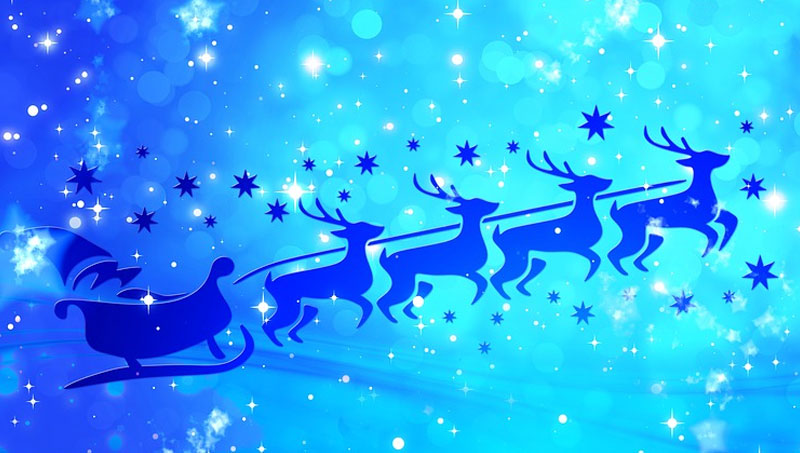 Holiday reindeer