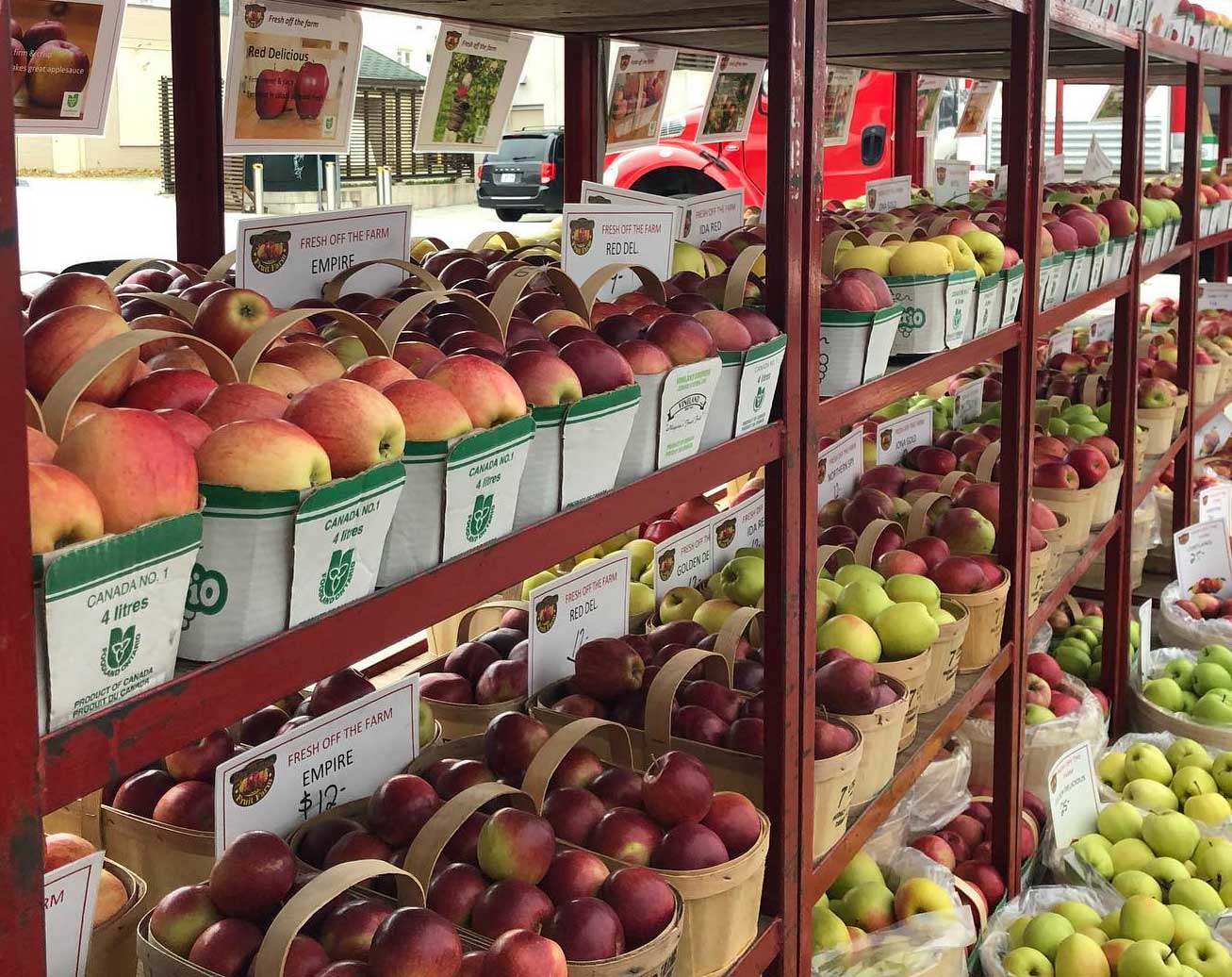Baskets of apples at Farmer's Market