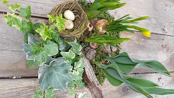 Spring Bulb Planter Workshop | Country Basket | Lundy's Lane